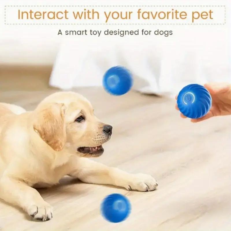 Pet Bouncing Ball Fun Pet Bouncing Ball For Cats And Dogs