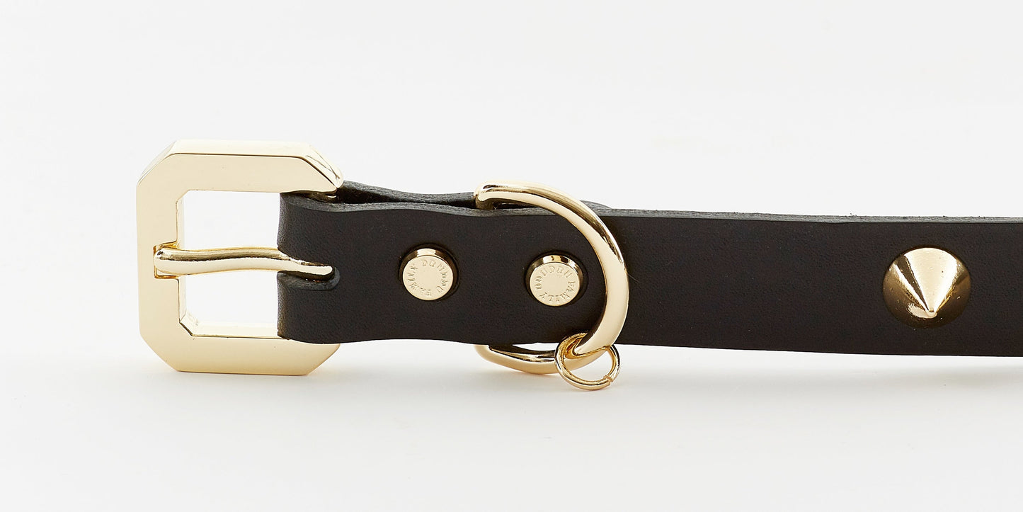 Golden Spike Dog Black Collar