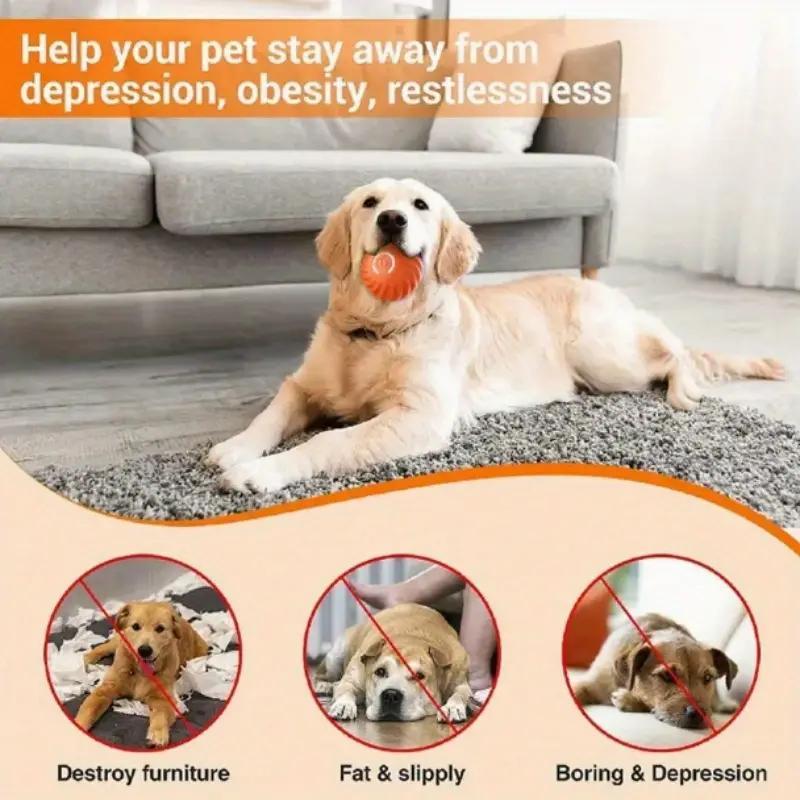Pet Bouncing Ball Fun Pet Bouncing Ball For Cats And Dogs