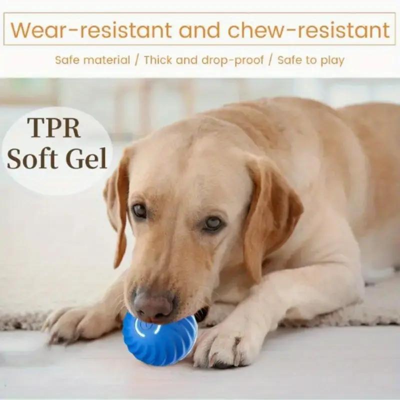 Pet Bouncing Ball Fun Pet Bouncing Ball For Cats And Dogs