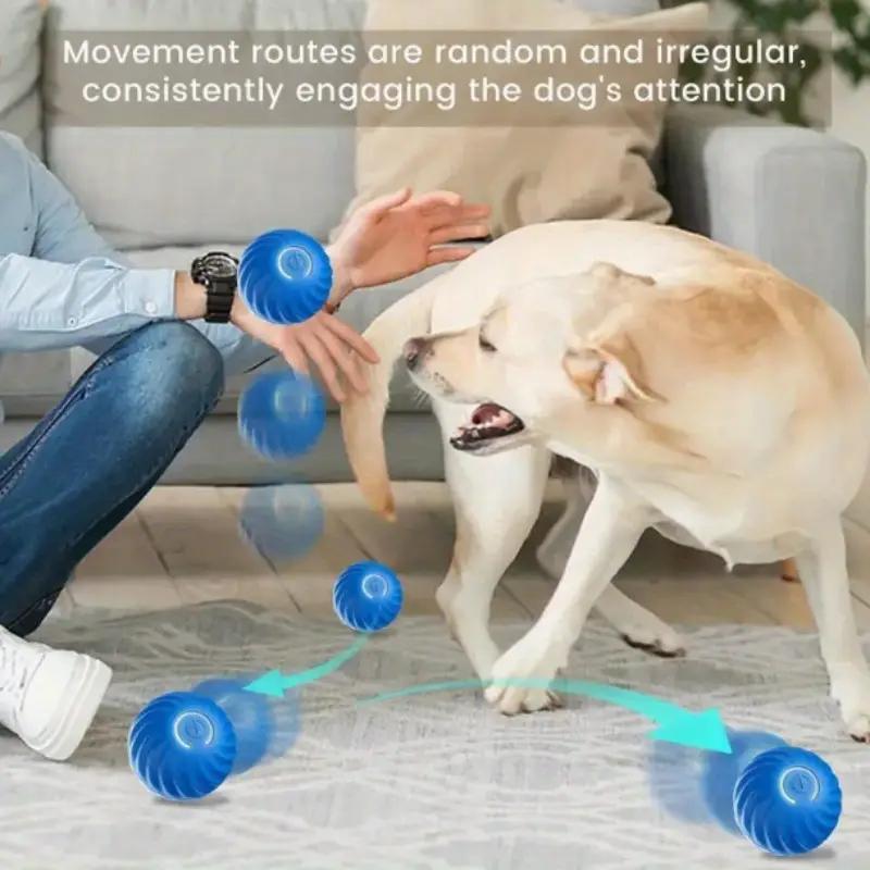 Pet Bouncing Ball Fun Pet Bouncing Ball For Cats And Dogs