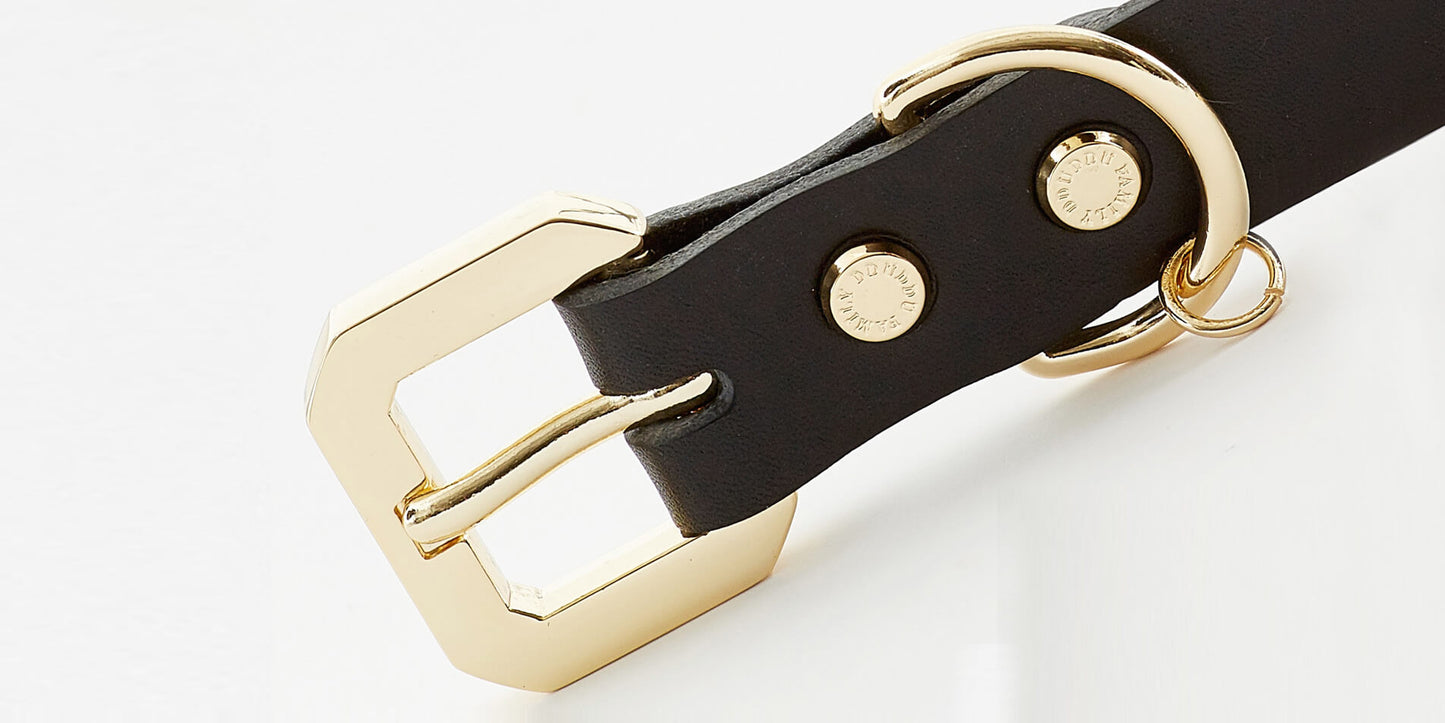 Golden Spike Dog Black Collar
