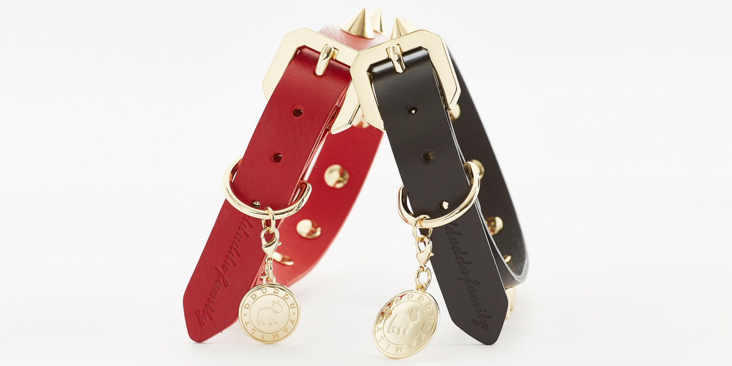 Golden Spike Dog Black Collar