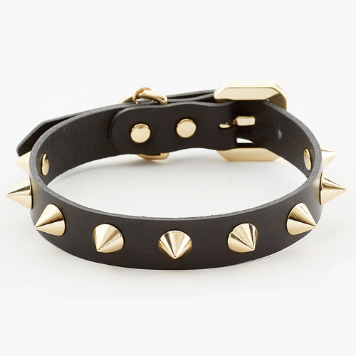 Golden Spike Dog Black Collar