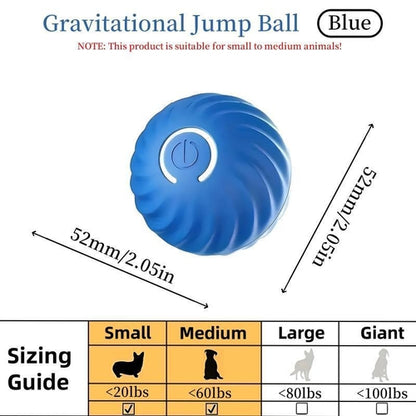 Pet Bouncing Ball Fun Pet Bouncing Ball For Cats And Dogs