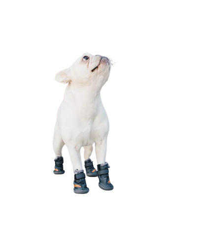 Beluga 544 Dog Shoes