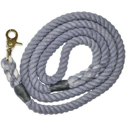 Dog Leash Gray