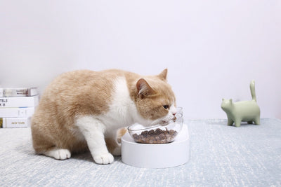 PETKIT Fresh Nano Cat Bowl