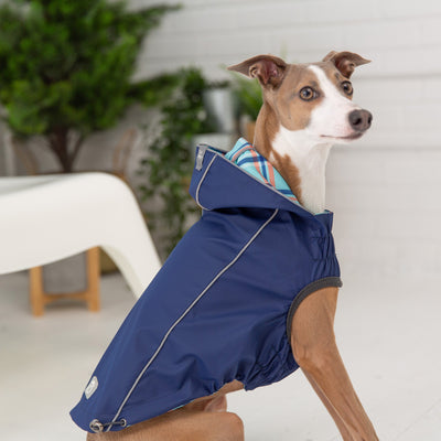 Reversible Elasto Fit Dog Raincoat