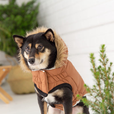 Urban Parka Dog Jacket Caramel
