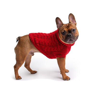 Chalet Dog Sweater Red