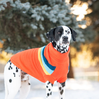 Alpine Dog Sweater Orange