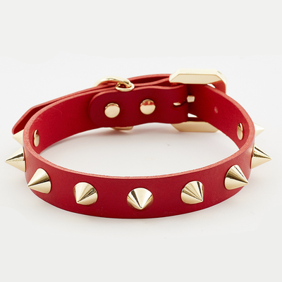 Golden Spike Red Dog Collar