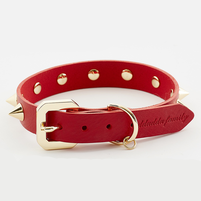 Golden Spike Red Dog Collar