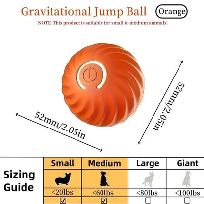 Pet Bouncing Ball Fun Pet Bouncing Ball For Cats And Dogs