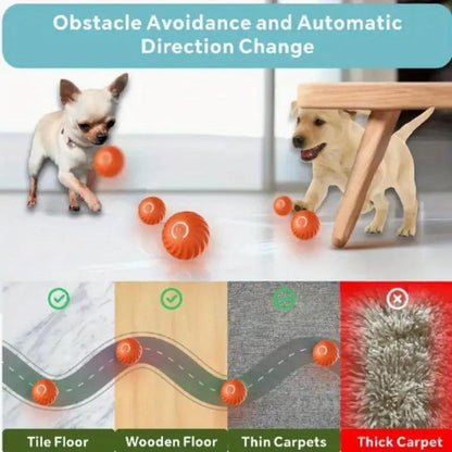 Pet Bouncing Ball Fun Pet Bouncing Ball For Cats And Dogs