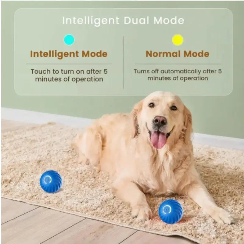 Pet Bouncing Ball Fun Pet Bouncing Ball For Cats And Dogs