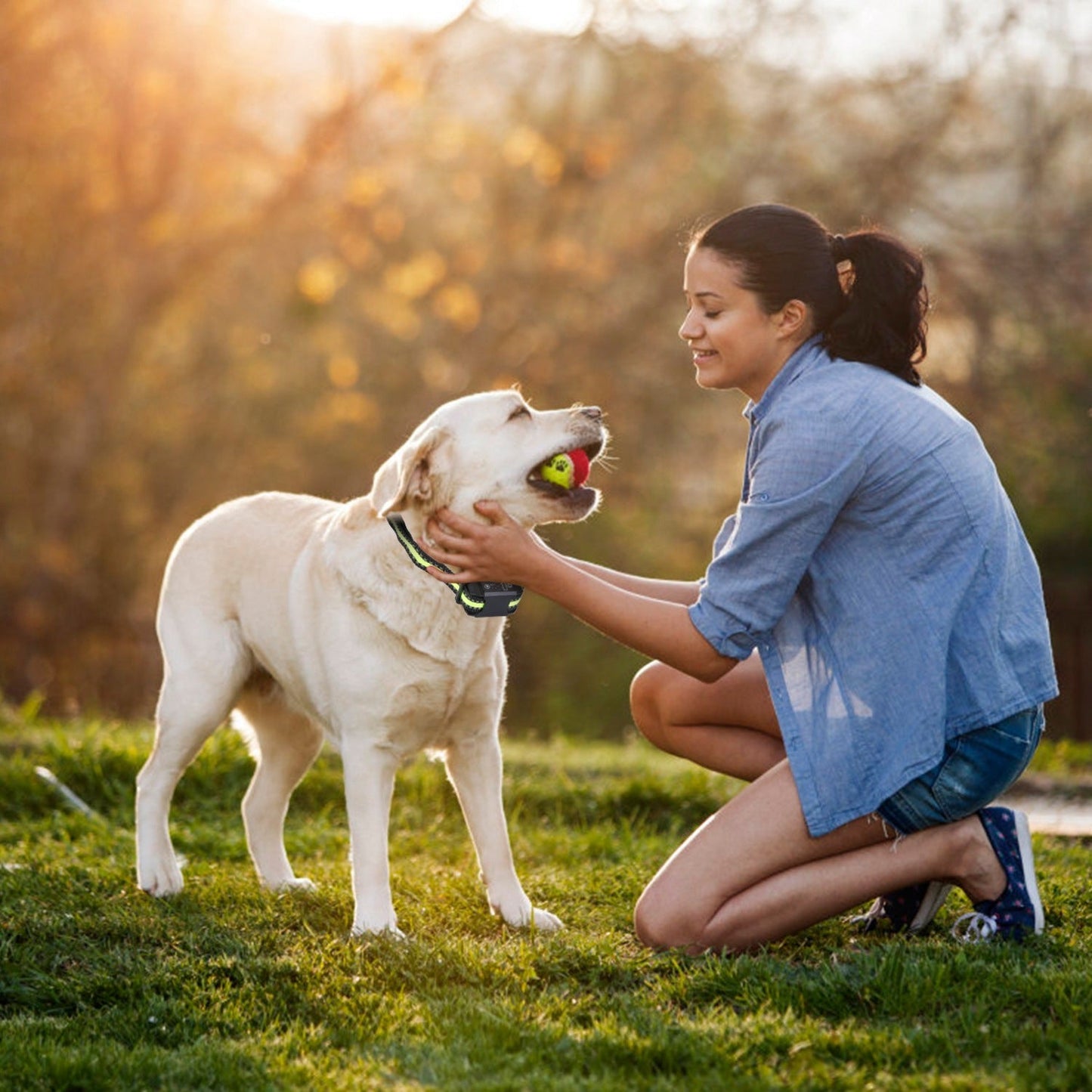 Dog Bark Collar Rechargeable Waterproof Beep Vibration Static