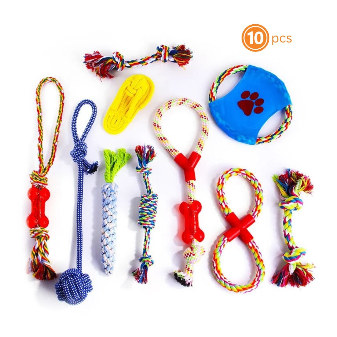 10pcs Assorted Braided Cotton Rope Dog Chew toys