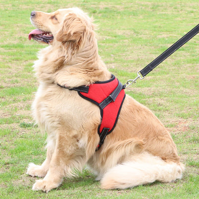 Durable Adjustable Dog Pet Harness