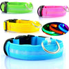 USB Rechargeable LED Pet Dog Collar