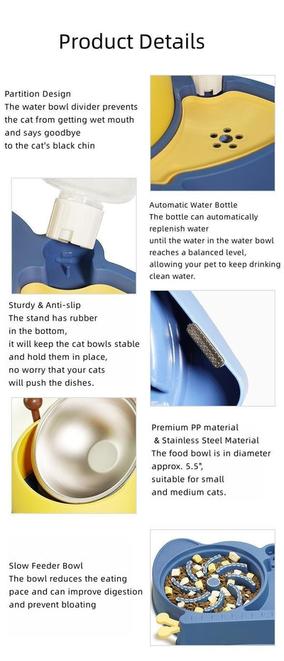 Elevated Tilted Food and Water Bowl Set