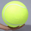 9.5" Big Tennis Pet Bite Toy