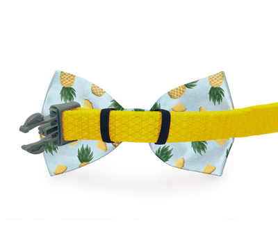 Hot Pineapple Dog Bow Tie