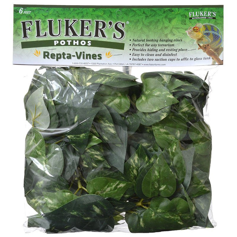 Flukers Repta-Vines Pothos for Terrariums