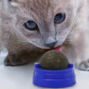 Natural Catnip Toy