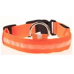 LED Night Light Safety Pet Dog Collar