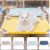 Elevated Cat Hammock Bed