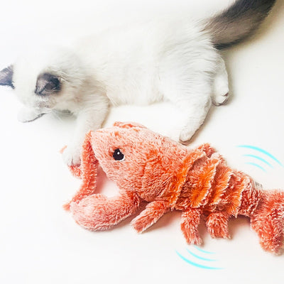 Shrimp Cat Toy