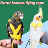 Parrot Harness Leash