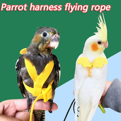 Parrot Harness Leash