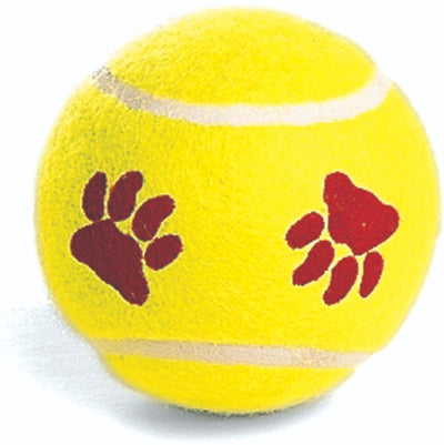 Mint Flavored Tennis Ball Dog Toys